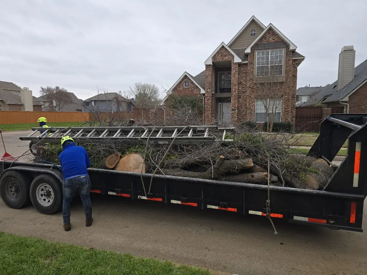 Expert Lot Clearing with proper safety equipment in Friendship